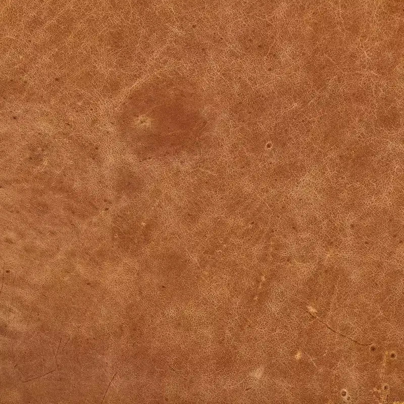 Poly & Bark Napa Ottoman