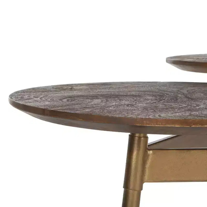 Ian 3 Circle Accent Table - ACC3702 - Rustic Honey/Gold - Safavieh